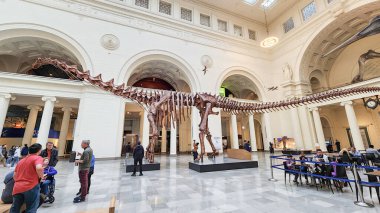 Editör: Chicago 'daki Field Müzesi' nin ana salonunda sergilenen tam bir dinozor iskeleti, ziyaretçiler tarafından gözlemleniyor. 10.10.24