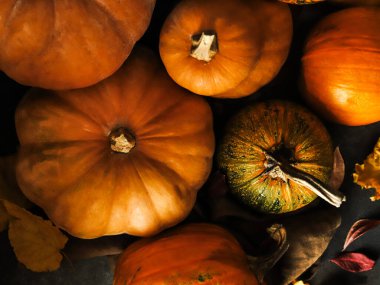 Güz Balkabakları Yakın plan