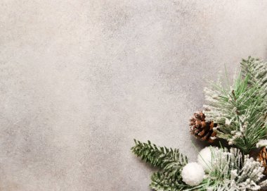 Açık Dokulu Arkaplanda Kopyalama Uzayı ile Donmuş Çam Dalları