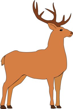 bir örnek bir geyik.