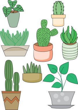 Saksı bitkilerinin bir çizimi.