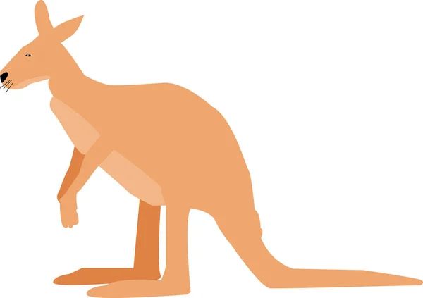 Bir kangurunun resmi..