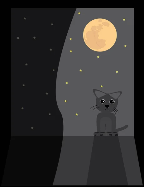 Gece vakti açık bir pencerenin ve pencerede oturan bir kedinin görüntüsü.. 