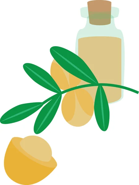 Argan yağının vektör sanatı. Çoğunlukla nemlendirme, saç bakımı, cilt bakımı, sivilce önleme, doğal ışıltı, geleneksel mutfak ve sağlık hizmetleri için kullanılır..