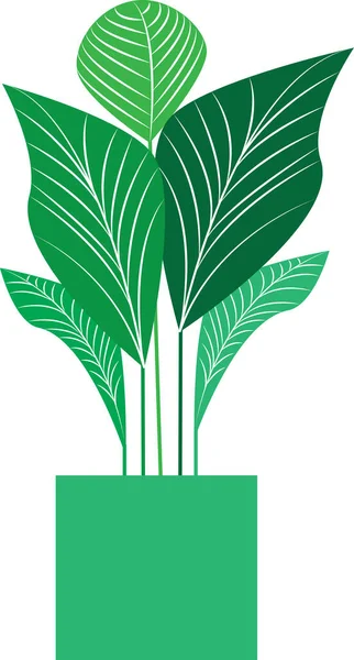 Bir bitkinin yeşil yapraklarının vektör sanatı. Dekorasyon için kullanılabilir.
