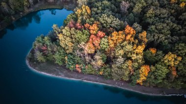 Mavi bir gölün kıvrımlı kıyı şeridi boyunca uzanan renkli sonbahar ormanlarının insansız hava aracı fotoğrafı. Canlı düşen yapraklar, yukarıdan çekilen ve huzurlu bir doğal ortamda derin sularla çelişiyor..