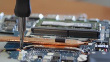 Laptop tamiri. Tornavida kullanan kişi vidaları söker ve parçaları bir arada tutar. Yüksek kaliteli FullHD görüntüler