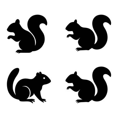 Beyaz arka planda izole edilmiş dört siyah sincap silueti.