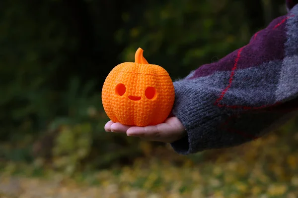 Gülen suratlı, turuncu bir balkabağı süslemesi tutan biriyle samimi bir sonbahar sahnesi. Sıcak süveter şenlik havasını arttırıyor, sonbahar sezonu için mükemmel.