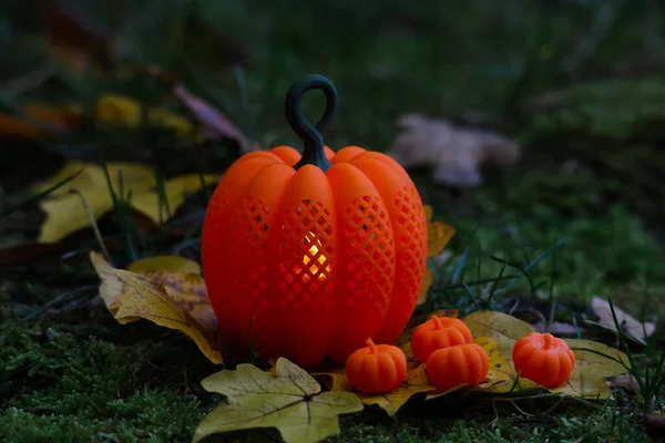 Canlı bir turuncu balkabağı şeklindeki fener, düşen sarı sonbahar yapraklarının üzerinde küçük balkabaklarıyla sarılıp sıcak, samimi bir Cadılar Bayramı havası yaratır. Fenerin yumuşak parıltısı mevsimlik sahnenin cazibesini artırır..