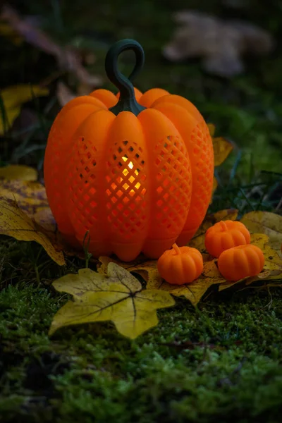 Parlayan turuncu bir balkabağı feneri, sonbahar yapraklarının arasında, daha küçük balkabağı şekilli mumlarla çevrili olarak oturur. Yumuşak ışık, sonbahar atmosferine sıcak bir Cadılar Bayramı havası katıyor..