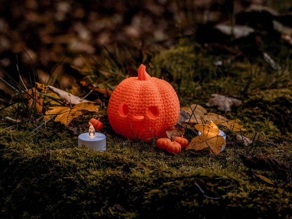 Parlayan turuncu bir balkabağı, sonbahar yapraklarıyla çevrili yosunlu zeminde oturur. Yanında küçük bir mum titreyerek doğada rahat ve ürkütücü bir Cadılar Bayramı havası yaratır..