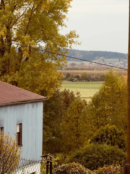Altın sonbahar yaprakları, mavi bir ev ve uzak bir tarla ile huzurlu bir kırsal manzara. Yumuşak ışık ve canlı yapraklar, sonbahar manzaralarına özgü sakin ve rahat bir atmosfer yaratır..