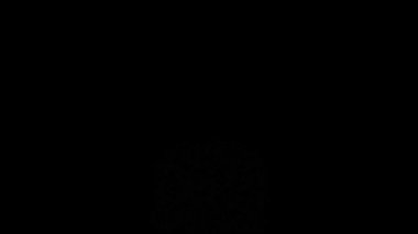 Uçan renkli konfetilerin beyaz arka planda izole edilmiş süper yavaş çekimi.