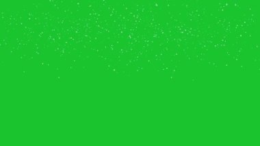 Yeşil ekrana düşen kış karı . 