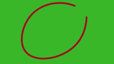 Sunum için el çizimi kırmızı çember fırça darbesi vurgu işareti, El Çizimi Oval Vurgulama Efekti, alfa kanalı ile 4k daire animasyonu