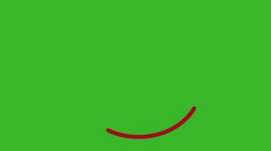 Sunum için el çizimi kırmızı çember fırça darbesi vurgu işareti, El Çizimi Oval Vurgulama Efekti, alfa kanalı ile 4k daire animasyonu