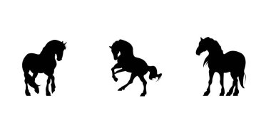At hareketi ikon vektör çiziminin grafiksel silueti. Siyah renk vektör illüstrasyonunda atın 2B simgesi.