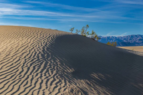Sand dune, Mesquite sand dunes, in Death Valley, California. Rippled pattern on the sand. Plant on top of rise. Mountains in background; clouds and blue sky above.
