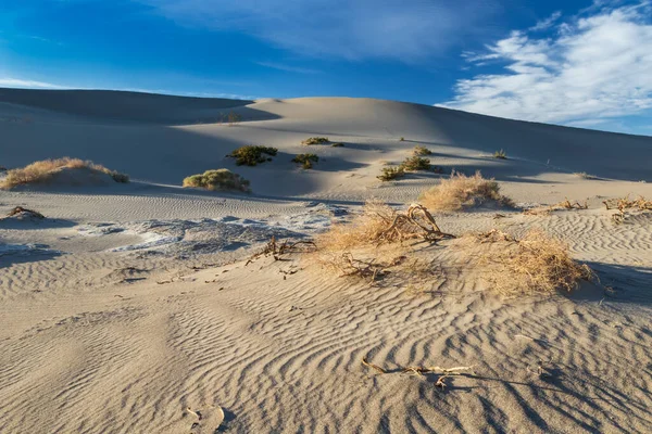 Sanddyn Mesquite Sanddyner Death Valley Kalifornien Rippat Mönster Sanden Plantera — Stockfoto