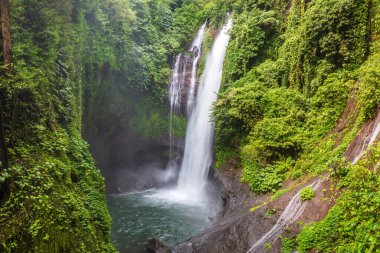 Kuzey Bali, Endonezya 'daki şelaleden aşağı sarp kayalıklardan aşağıya zümrüt yeşili bir havuza yuvarlanıyor. Tropikal yağmur ormanlarının yemyeşil bitki örtüsüyle çevrili.
