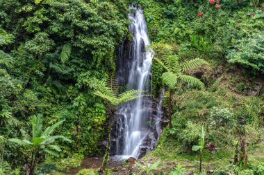 Kuzey Bali 'deki Git Şelalesi' nde küçük bir şelale. Kristal berrak su, tropikal yağmur ormanlarının yemyeşil tropikal büyümesiyle çevrili uçurum yüzeyinden aşağı dökülür.. 