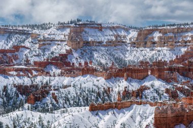 Kar, kar fırtınasından hemen sonra Utah 'taki Bryce Canyon Ulusal Parkı' nda çam ormanlarıyla kaplıydı. Bulutlu gökyüzü.