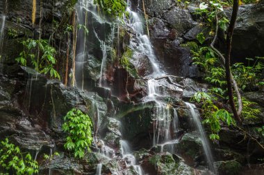 Kuzey Bali, Endonezya 'nın kayalık kanyon yamacında çağlayan şelale. Bitkiler kayalara tutunuyor. Ağaçlardan sarkan sarmaşıklar.