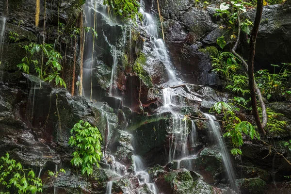 Kuzey Bali, Endonezya 'nın kayalık kanyon yamacında çağlayan şelale. Bitkiler kayalara tutunuyor. Ağaçlardan sarkan sarmaşıklar.