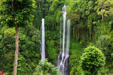 Kuzey Bali 'de üç şelale, Sekumpul şelalesi. Tropikal yağmur ormanlarından gelen yemyeşil bitki örtüsüyle çevrili uçurumlar..