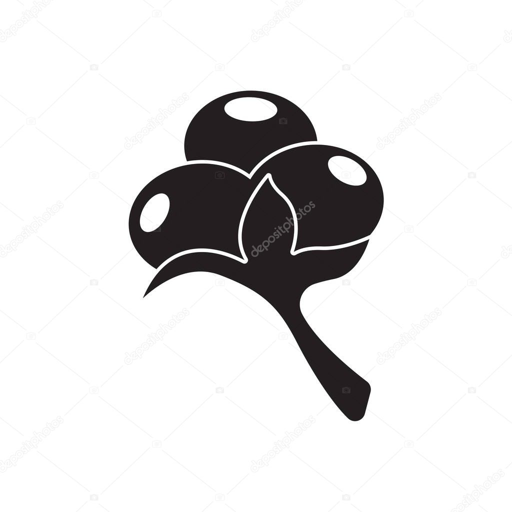 Cotton Plant Flower Icon Vector Design.
