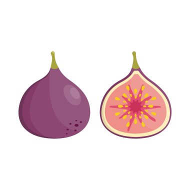 İncir Simgesi Vektör Tasarımı.