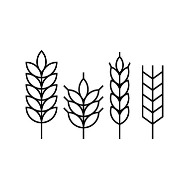 Tahıl Simgesi Set Vektör Tasarımı.