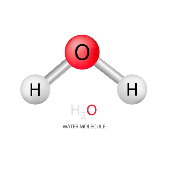 H2O Su Molekül Simgesi Vektör Tasarımı.