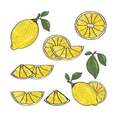 El Çizimi Limon Set Vektör Tasarımı.