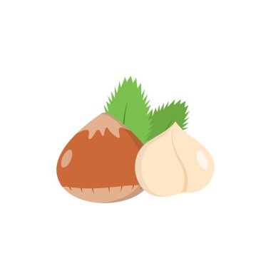 Fındık Simgesi Vektör Tasarımı. 