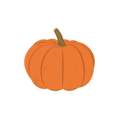 kabak ikonu vektör tasarımı.