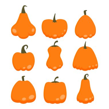 Kabak Simgesi Set Vektör Tasarımı.