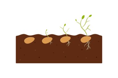 Tohum Büyüme Simgesi Set Vektör Tasarımı.