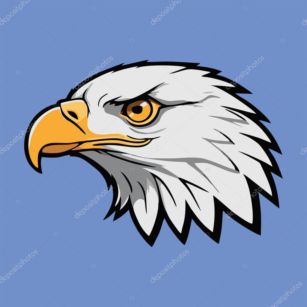 Vector illustration of a bald eagle head with a yellow beak and sharp eyes