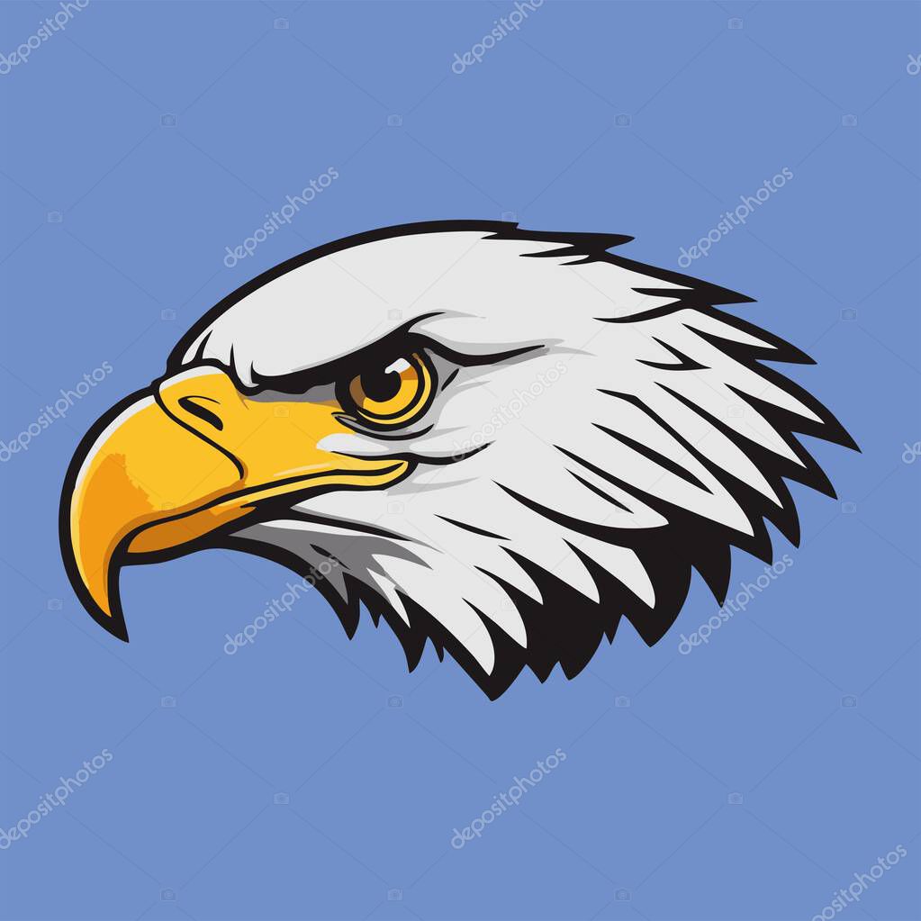 Vector illustration of a bald eagle head with a yellow beak and sharp eyes