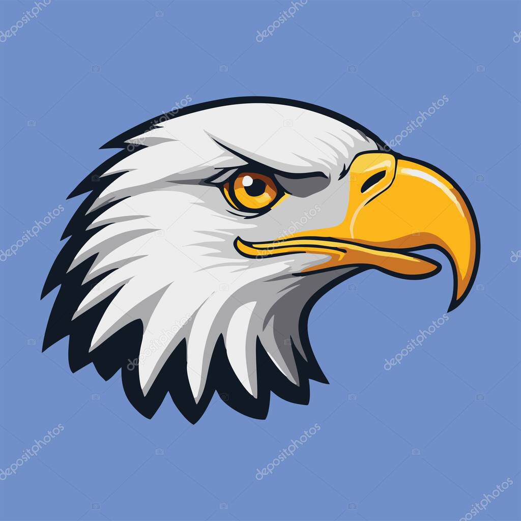Vector illustration of a bald eagle head with a yellow beak and sharp eyes