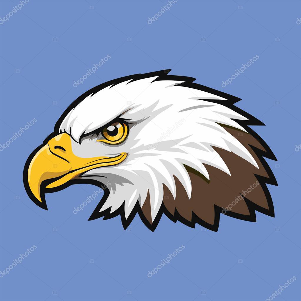 Vector illustration of a bald eagle head with a yellow beak and sharp eyes