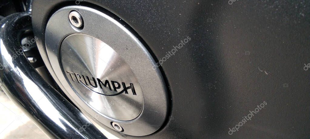 A Triumph motorcycle engine featuring the metal Triumph logo on the crankcase cover.