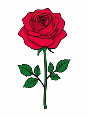 Yeşil yapraklı kırmızı bir gül ve detaylı bir gövde..