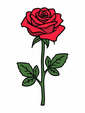 Yeşil yapraklı kırmızı bir gül ve detaylı bir gövde..