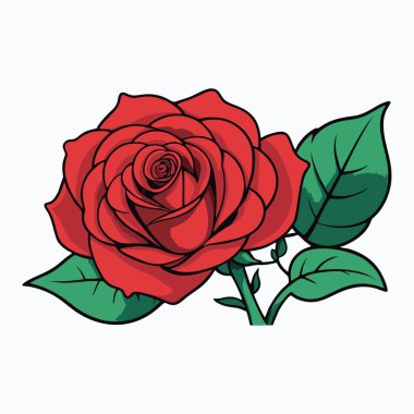 Yeşil yapraklı kırmızı bir gül ve detaylı bir gövde..