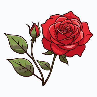 Yeşil yapraklı kırmızı bir gül ve detaylı bir gövde..