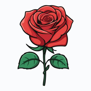 Yeşil yapraklı kırmızı bir gül ve detaylı bir gövde..