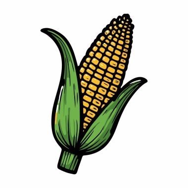 Taze haşlanmış mısırın resmi